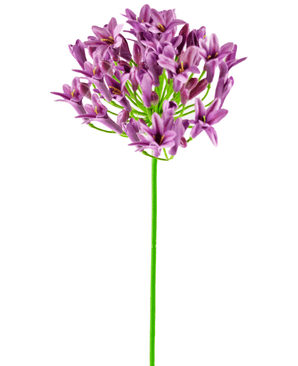 Konstgjord blomma Agapanthus 77 cm lila