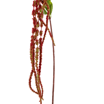 Konstgjord blomma Amaranthus 122 cm vinröd