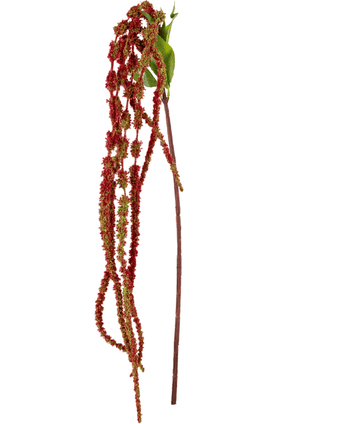 Konstgjord blomma Amaranthus 122 cm vinröd