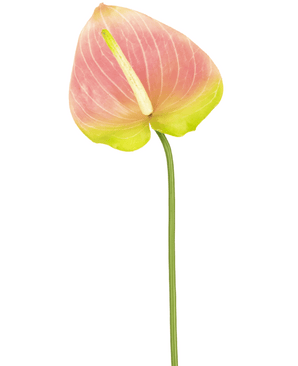 Konstgjord blomma Anthurium 68 cm grön/rosa