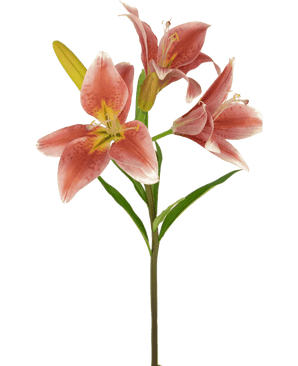 Konstgjord blomma Asiatisk lilja 66 cm gammal rosa