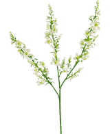 Konstgjord blomma Catnip 75 cm vit