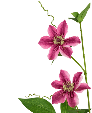 Konstgjord blomma Clematis dubbel 78 cm lila