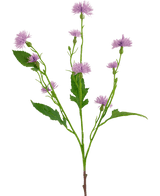 Konstgjord blomma Daisy Spray 54 cm lila