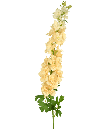 Konstgjord blomma Delphinium 105 cm kräm