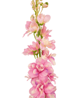 Konstgjord blomma Delphinium 79 cm rosa