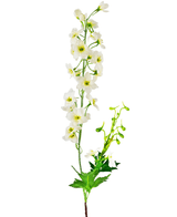 Konstgjord blomma Delphinium 79 cm vit