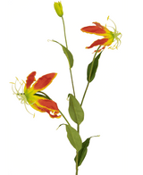 Konstgjord blomma Gloriosa 81 cm röd/gul