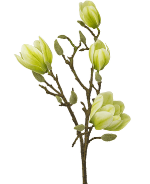Konstgjord blomma Magnolia 50 cm vit/grön