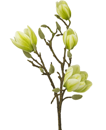 Konstgjord blomma Magnolia 50 cm vit/grön