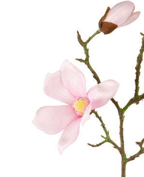 Konstgjord blomma Magnolia Riktig beröring Rosa 72cm