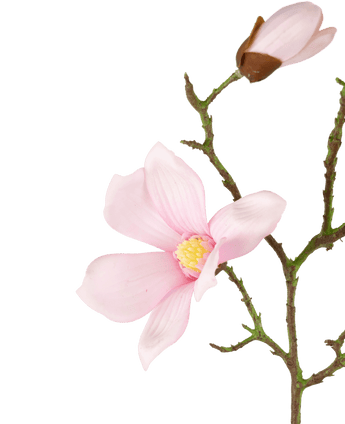 Konstgjord blomma Magnolia Riktig beröring Rosa 72cm