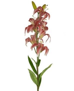Konstgjord blomma Martagon Lily 78 cm gammal rosa