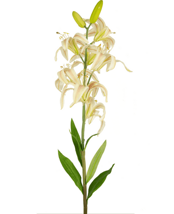 Konstgjord blomma Martagon Lily 78 cm rosa