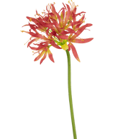 Konstgjord blomma Nerine 70 cm fuchsia