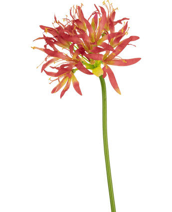 Konstgjord blomma Nerine 70 cm fuchsia