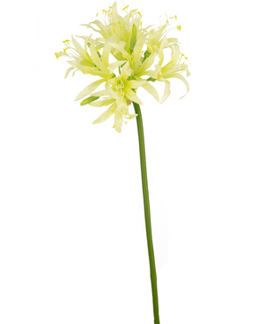 Konstgjord blomma Nerine 70 cm grön