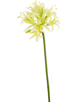 Konstgjord blomma Nerine 70 cm grön