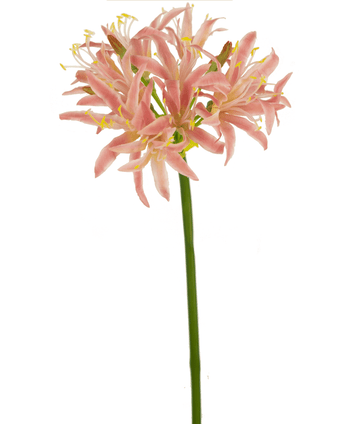 Konstgjord blomma Nerine 70 cm rosa