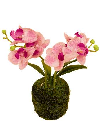 Konstgjord blomma Orchid 22 cm rosa