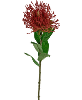 Konstgjord blomma Protea 73 cm röd