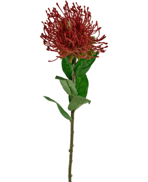 Konstgjord blomma Protea 73 cm röd