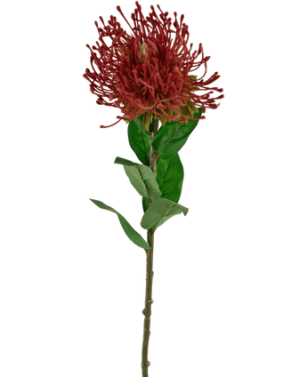 Konstgjord blomma Protea 73 cm röd