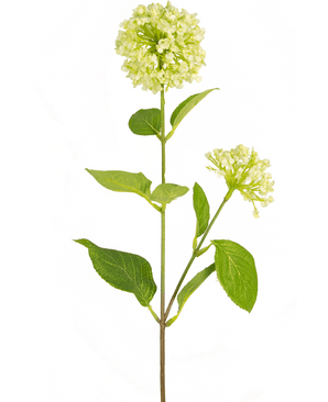 Konstgjord blomma Snowball/Viburnum 70 cm vit