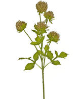 Konstgjord blomma Thistle 66 cm brun