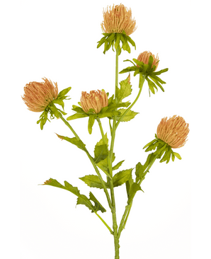 Konstgjord blomma Thistle 66 cm persika