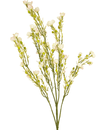 Konstgjord blomma Waxflower 87 cm babyrosa