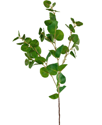 Konstgjord gren Eukalyptus Classic 70 cm grön