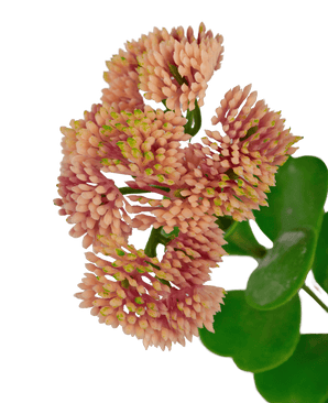 Konstgjord gren Sedum 56 cm ljusrosa