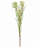 Konstgjord gren Waxblomma 78 cm kräm