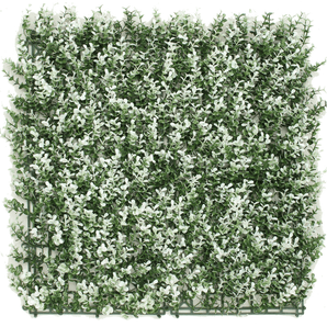 Konstgjord häck Buxus vit 50x50 cm UV