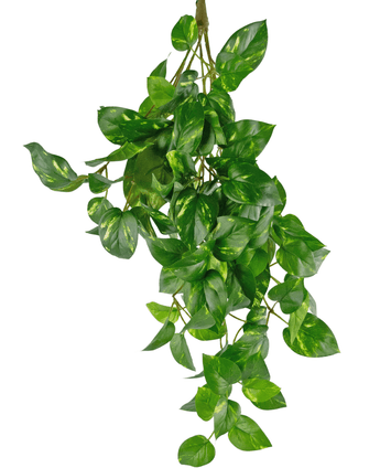 Konstgjord hängande växt Golden Vine Deluxe 60 cm