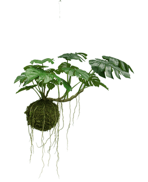 Konstgjord hängande växt Monstera Deluxe 60 cm