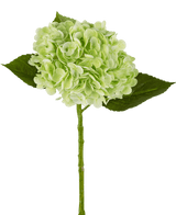 Konstgjord hortensia "Annabelle" Real Touch Green 55cm