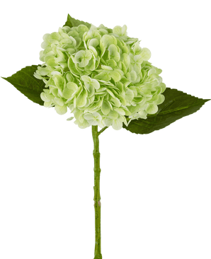 Konstgjord hortensia "Annabelle" Real Touch Green 55cm