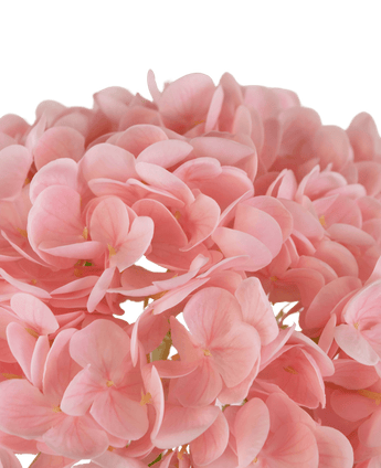 Konstgjord hortensia "Annabelle" Real Touch Rosa 55cm