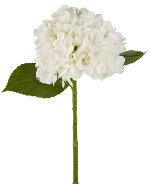Konstgjord hortensia "Annabelle" Real Touch Vit 55cm