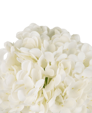 Konstgjord hortensia "Annabelle" Real Touch Vit 55cm