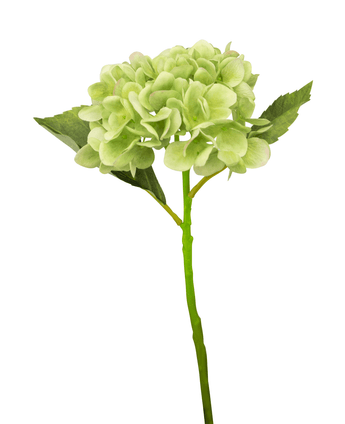 Konstgjord hortensia Deluxe 33 cm grön