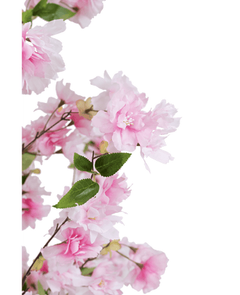 Konstgjord körsbärsblomma 150 cm rosa