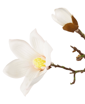 Konstgjord magnoliagren Real Touch Vit 98cm