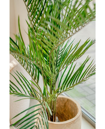 Konstgjord palm Areca 150 cm