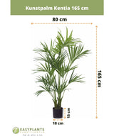 Konstgjord palm Kentia 165 cm