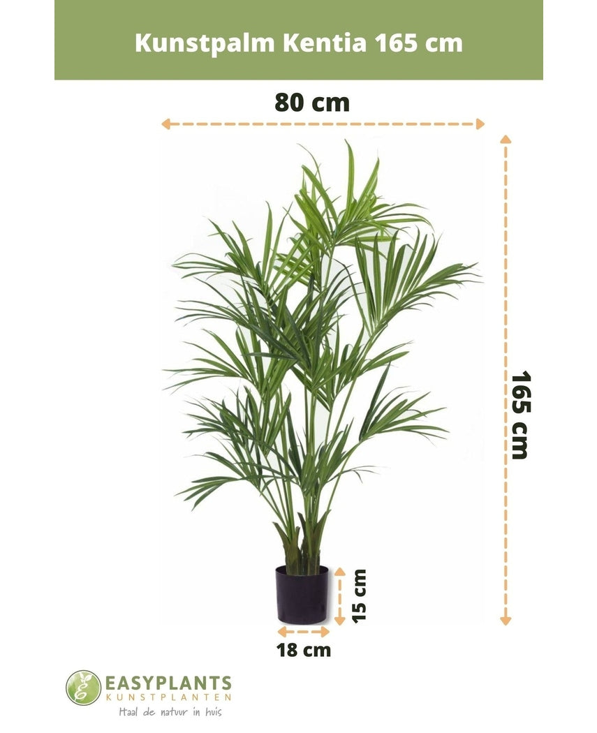 Konstgjord palm Kentia 165 cm