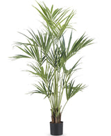 Konstgjord palm Kentia 190 cm