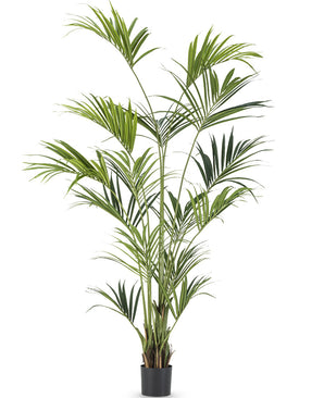 Konstgjord palm Kentia 220 cm